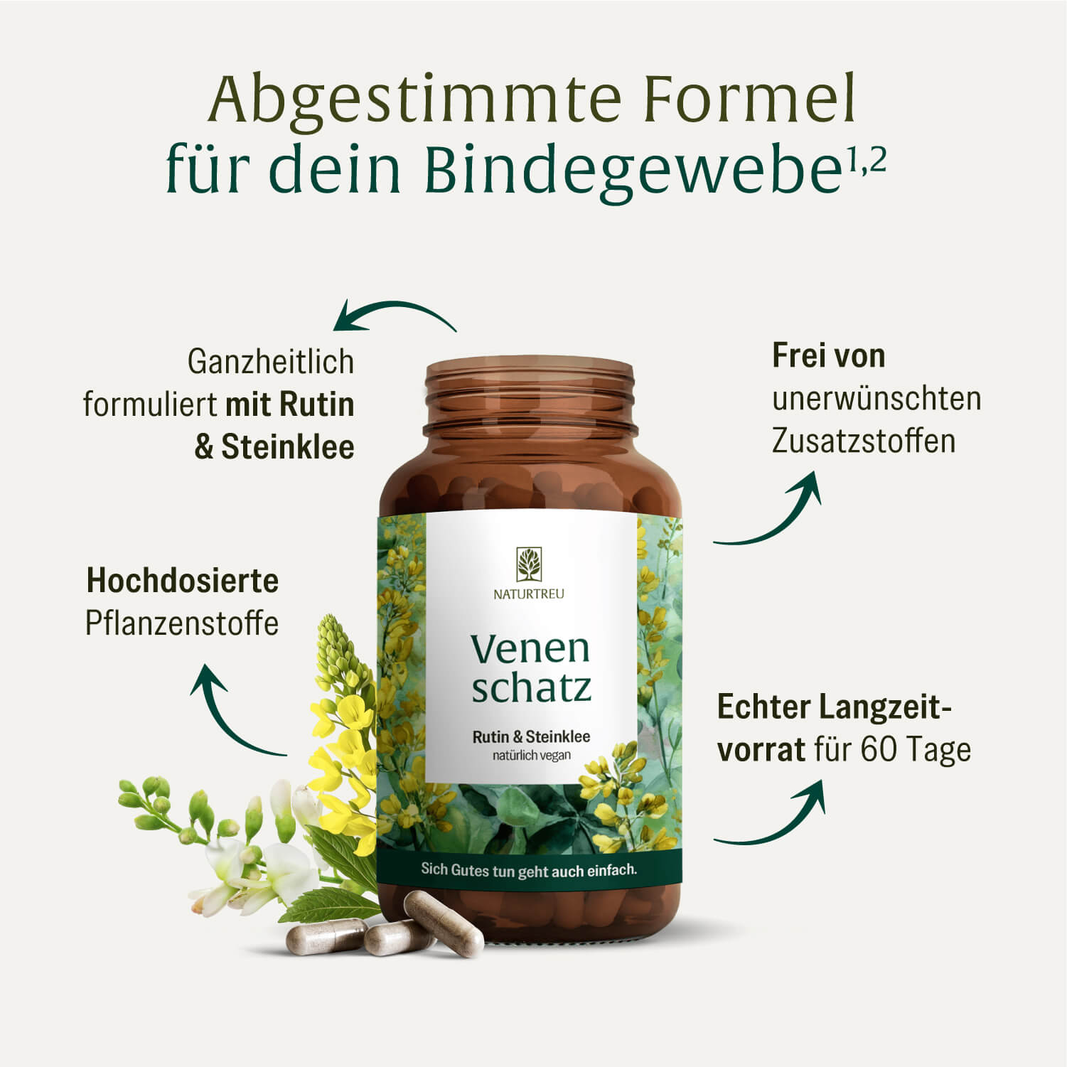 Venenschatz rutin steinklee Inhaltsstoffe