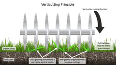 Verticutter Cassette for Screwfix FPRS/NMRS/WR6002-1500, VonHaus 1300W/1500W and Hyundai 1532E scarifiers